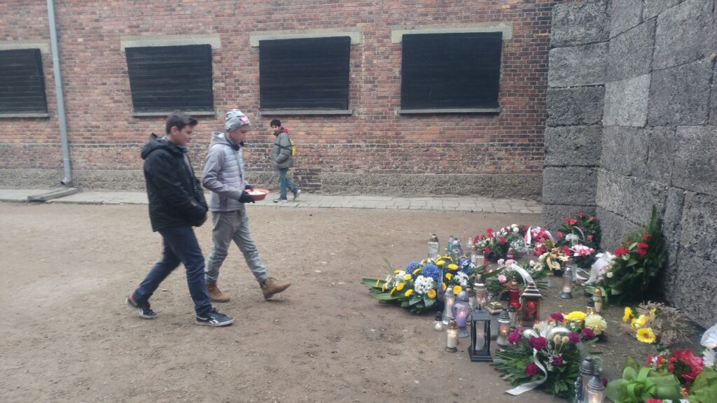 Wycieczka Do Muzeum Auschwitz Birkenau Klasy 7 I 81