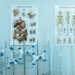 Kolorowe plakaty anatomiczne człowieka obok sprzętu laboratoryjnego