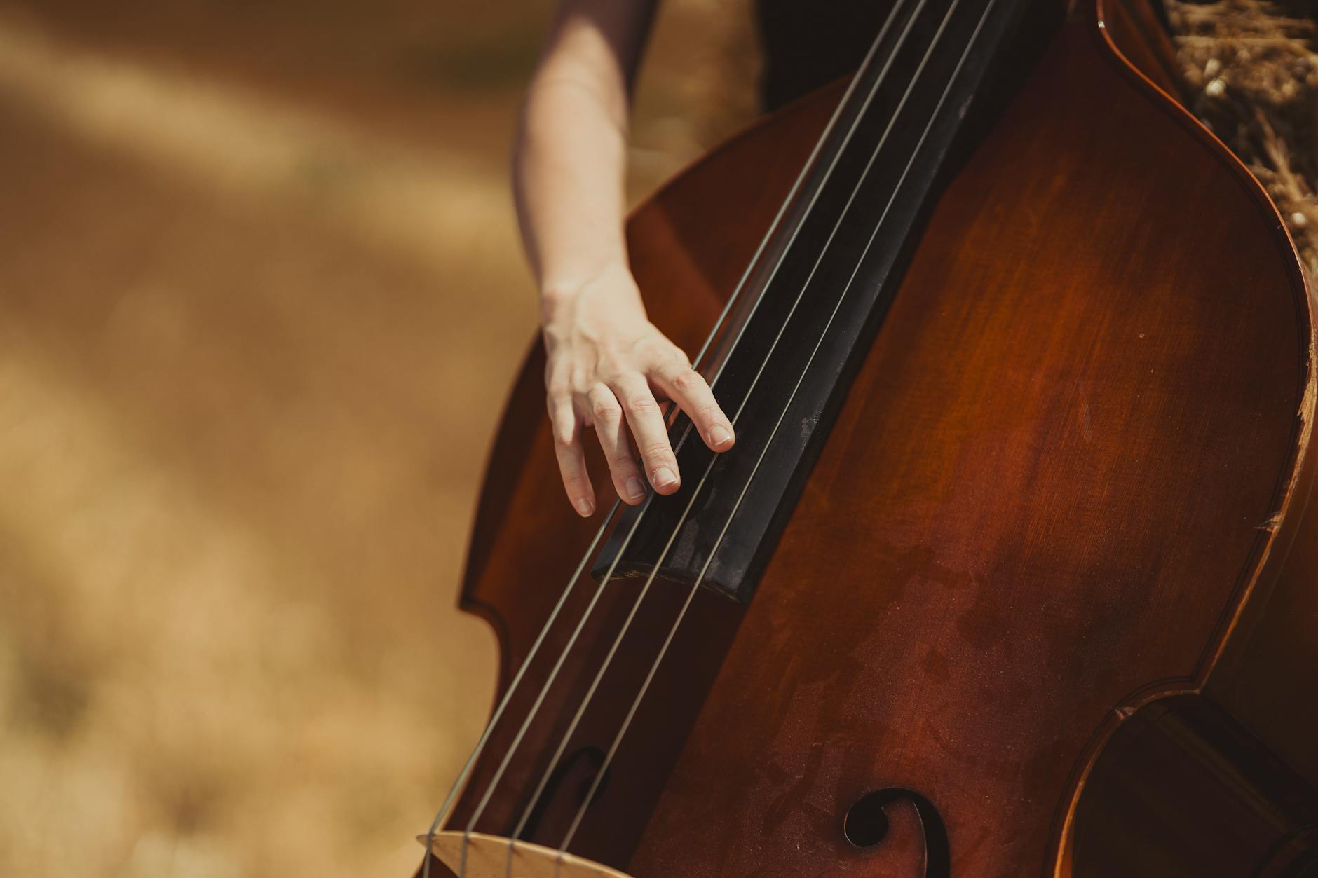 Dłoń muzyka szarpiąca struny kontrabasu w ciepłym, plenerowym świetle