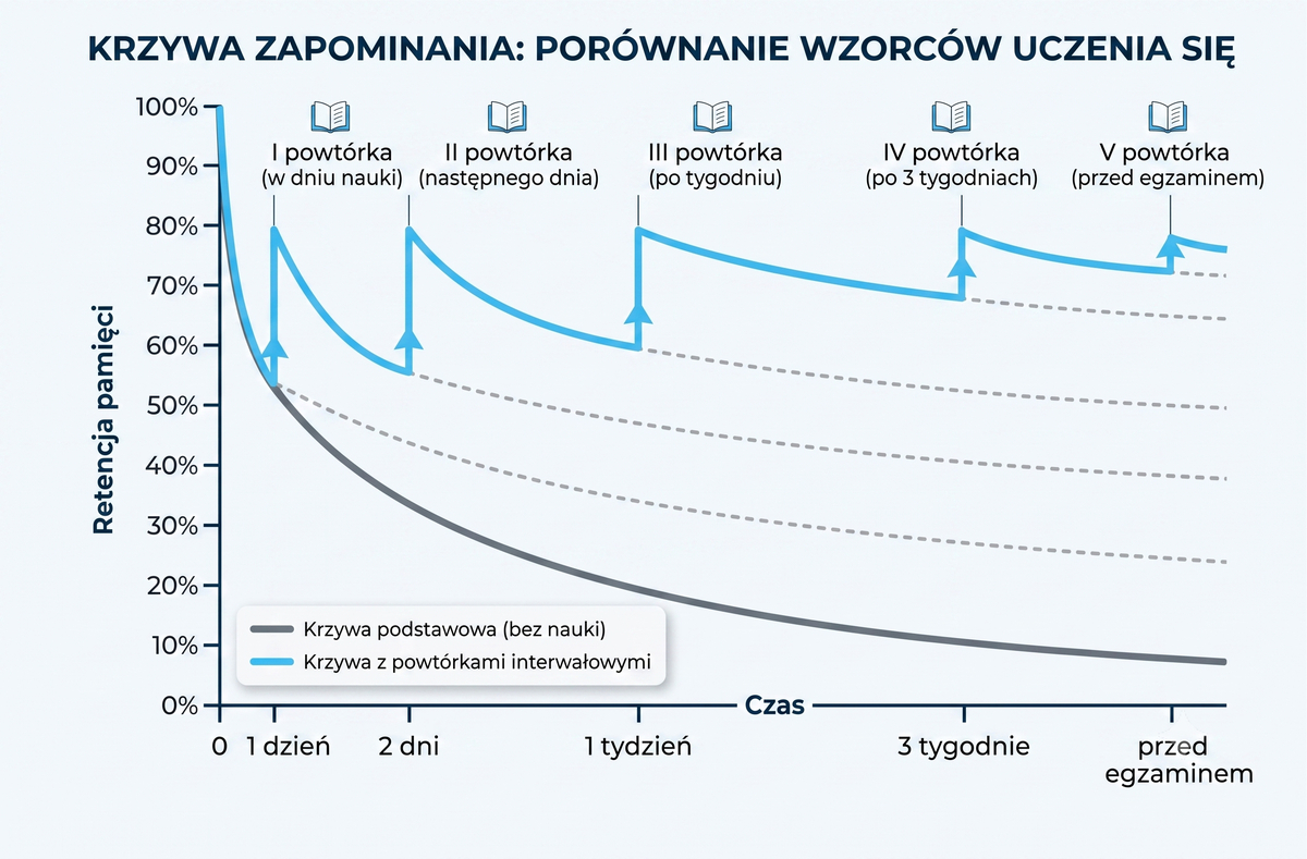 Dlaczego tak szybko zapominamy? 6 nawyków, dzięki którym wiedza zostaje w głowie na dłużej