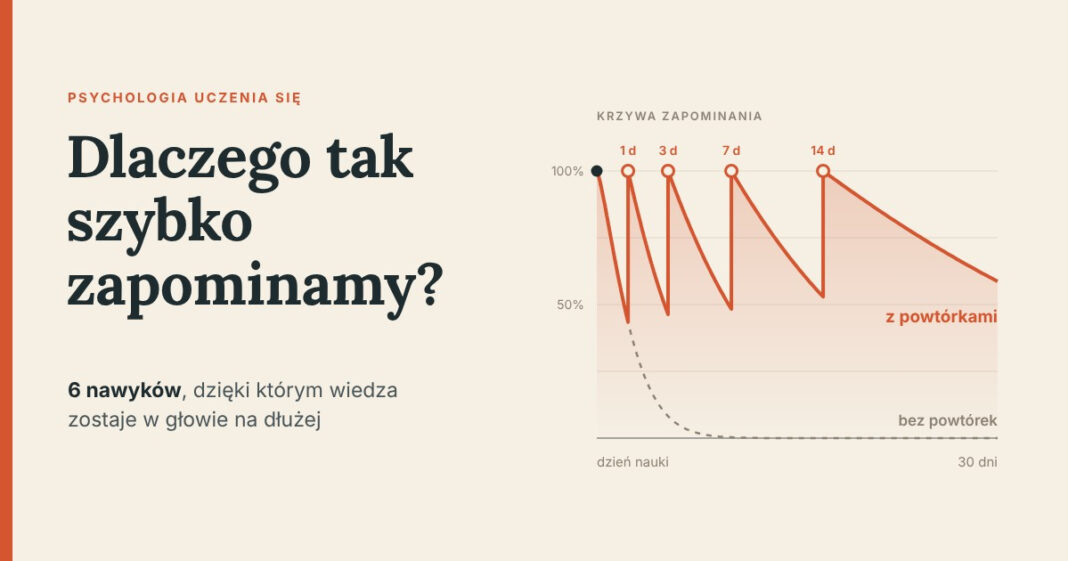 Dlaczego tak szybko zapominamy? 6 nawyków, dzięki którym wiedza zostaje w głowie na dłużej