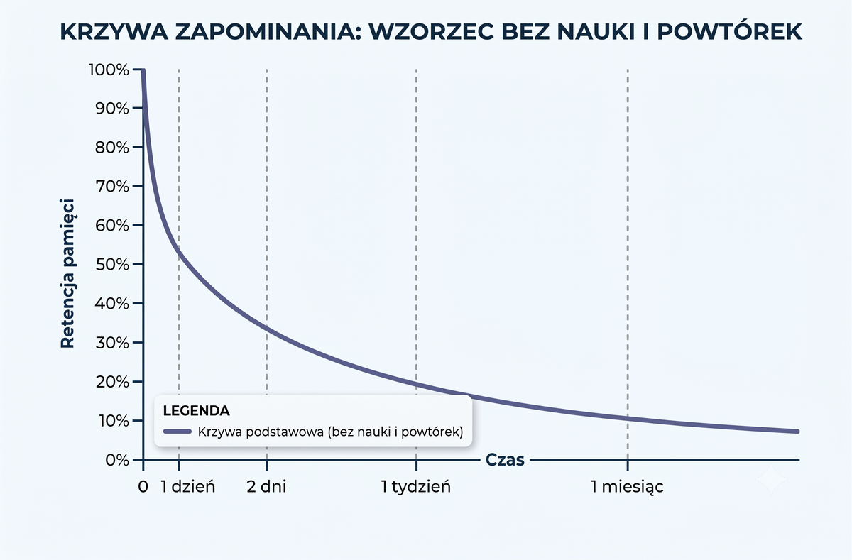 Dlaczego tak szybko zapominamy? 6 nawyków, dzięki którym wiedza zostaje w głowie na dłużej